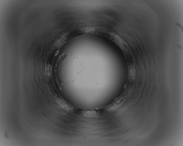 X0000093360525200710191059