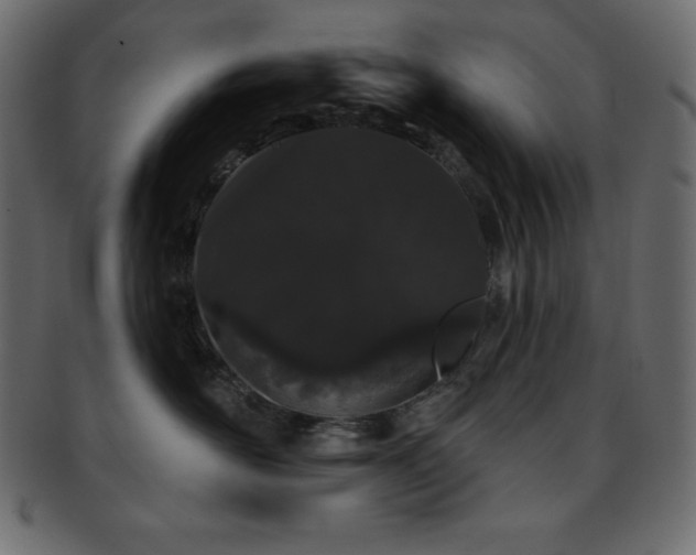 X0000093360526200710191059