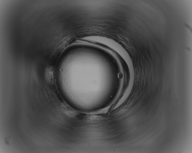 X0000093360527200710191059