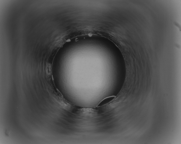 X0000093360528200710191059