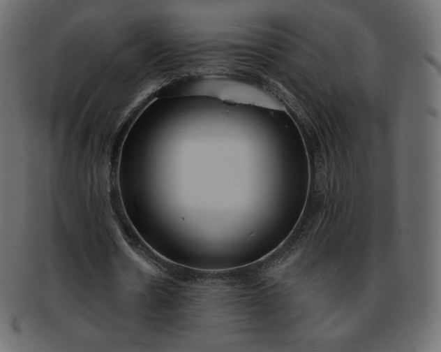 X0000093360530200710191059