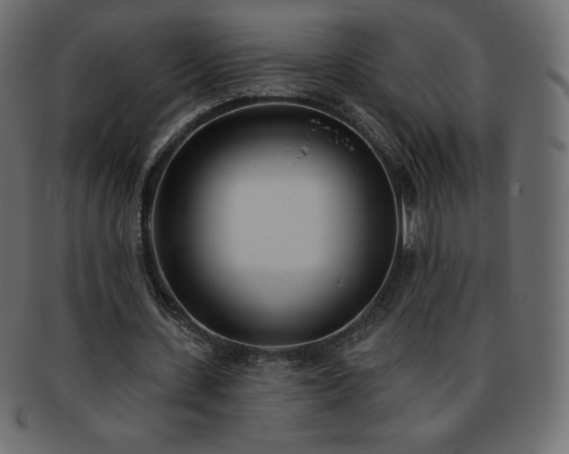 X0000093360531200710191059