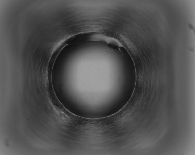 X0000093360532200710191059