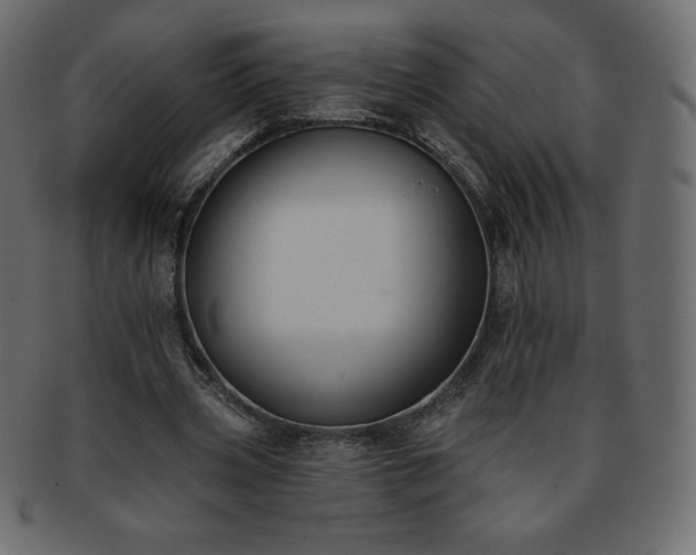 X0000093360533200710191059