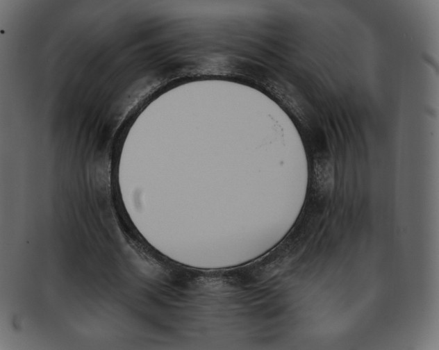 X0000093360534200710191059