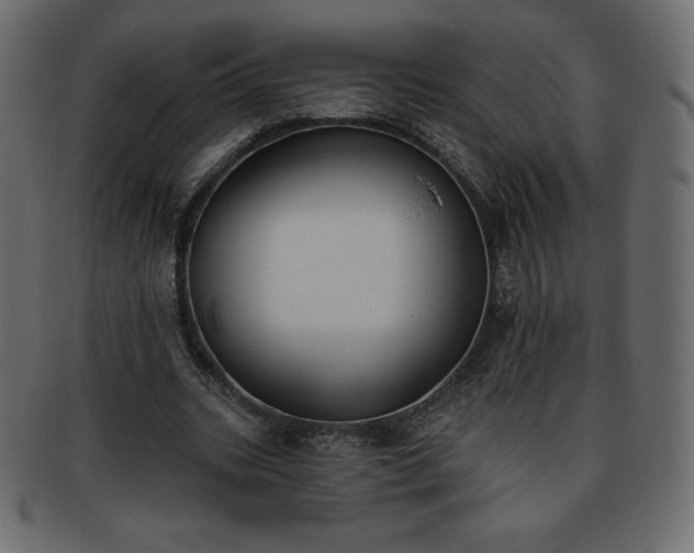 X0000093360535200710191059