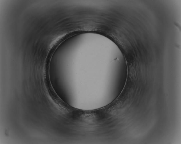 X0000093360536200710191059
