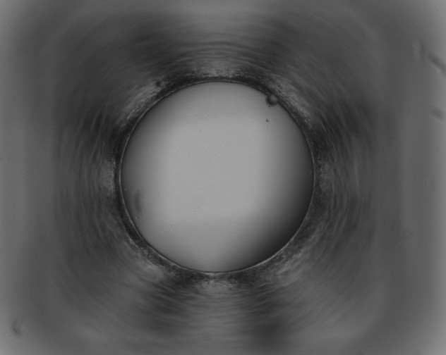 X0000093360537200710191059