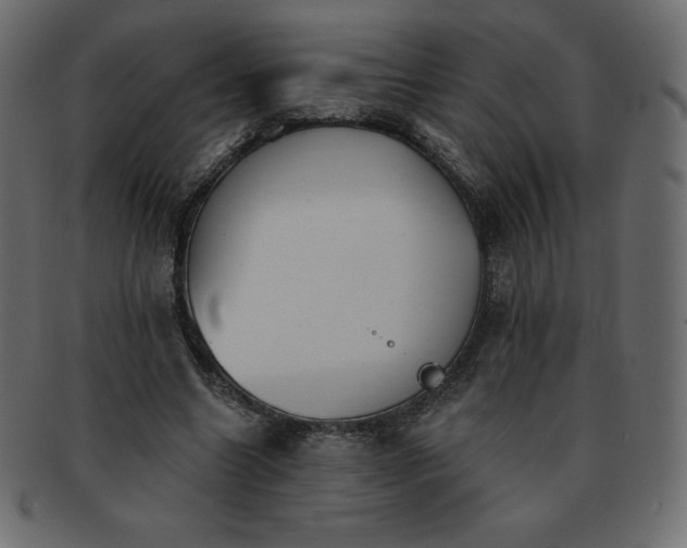 X0000093360538200710191059