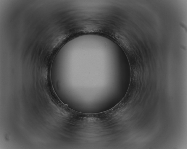 X0000093360539200710191059