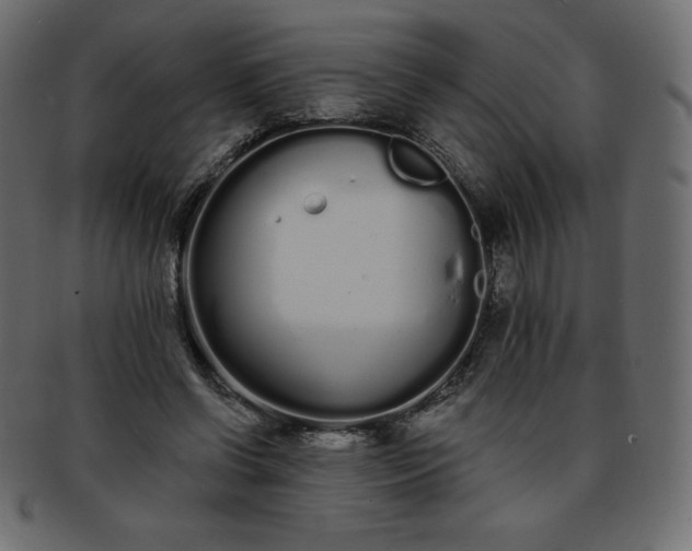 X0000093360542200710191059