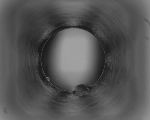 X0000093360544200710191059