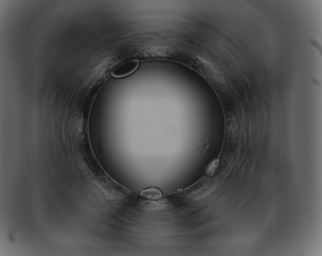 X0000093360548200710191059
