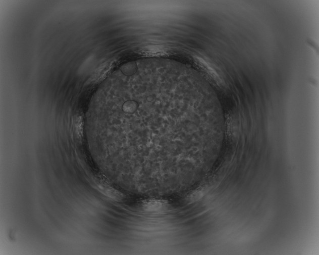 X0000093360549200710191059