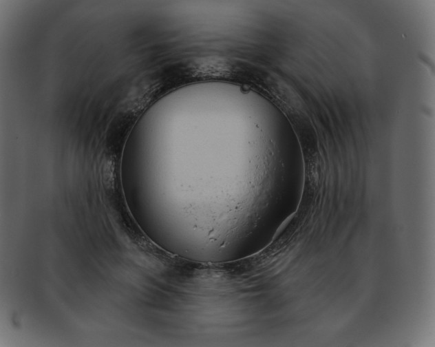 X0000093360551200710191059