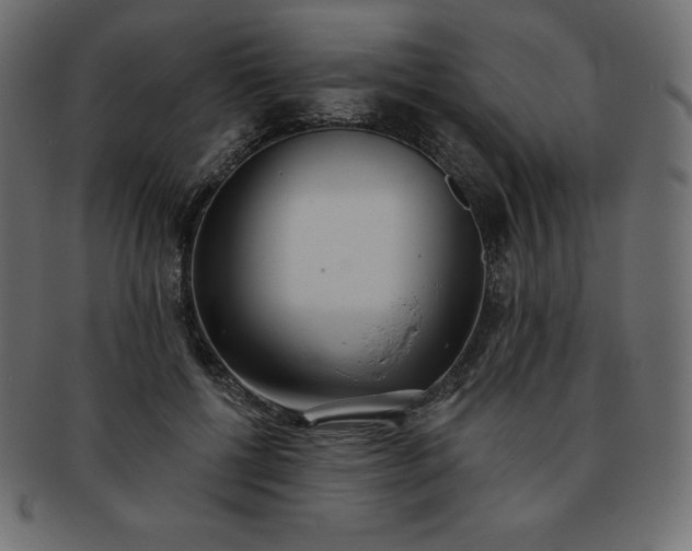 X0000093360552200710191059