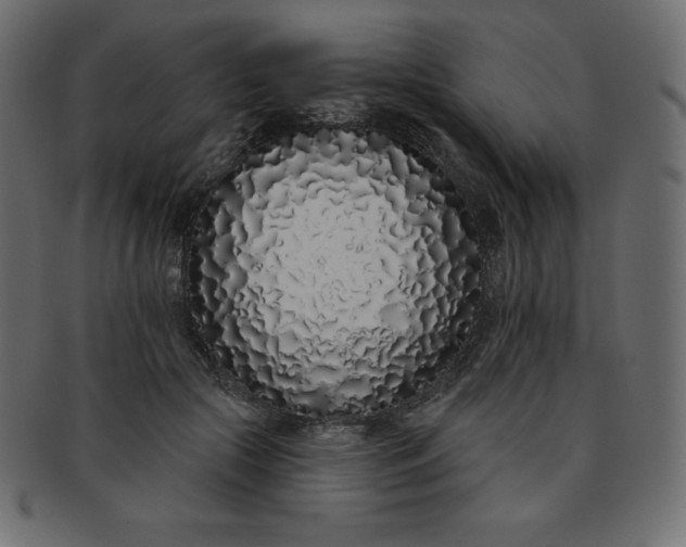 X0000093360553200710191059