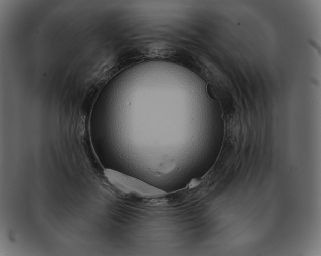 X0000093360554200710191059
