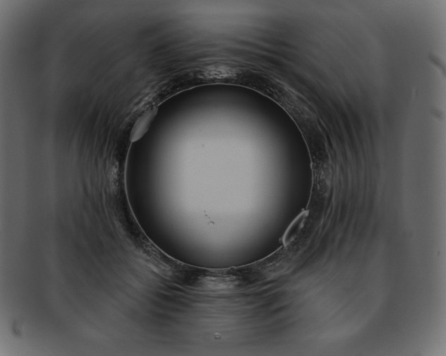 X0000093360556200710191059