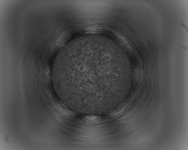 X0000093360557200710191059