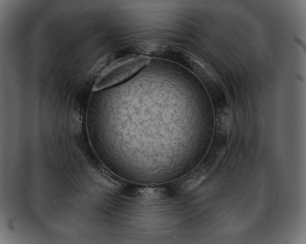 X0000093360558200710191059