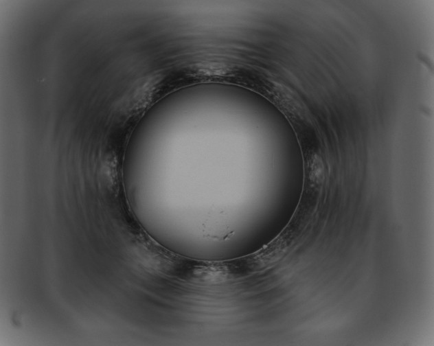 X0000093360559200710191059