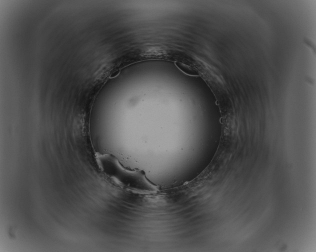 X0000093360560200710191059