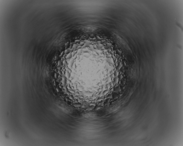 X0000093360561200710191059