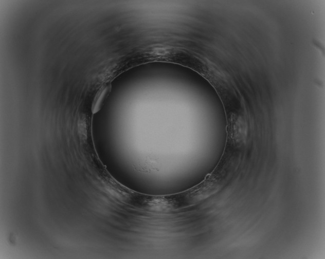 X0000093360562200710191059