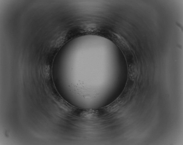 X0000093360563200710191059