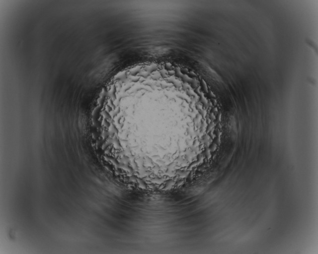 X0000093360565200710191059