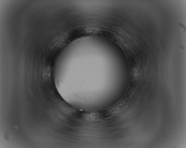 X0000093360567200710191059