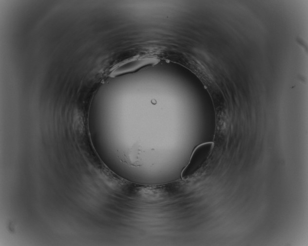 X0000093360568200710191059