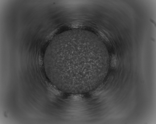 X0000093360569200710191059