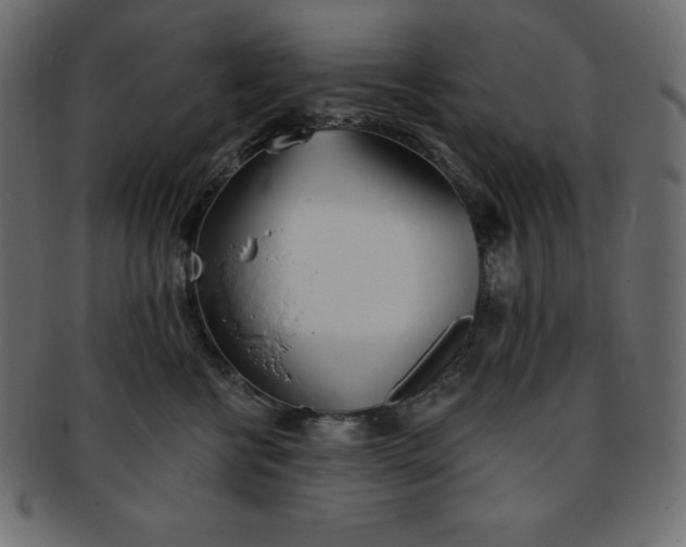 X0000093360570200710191059