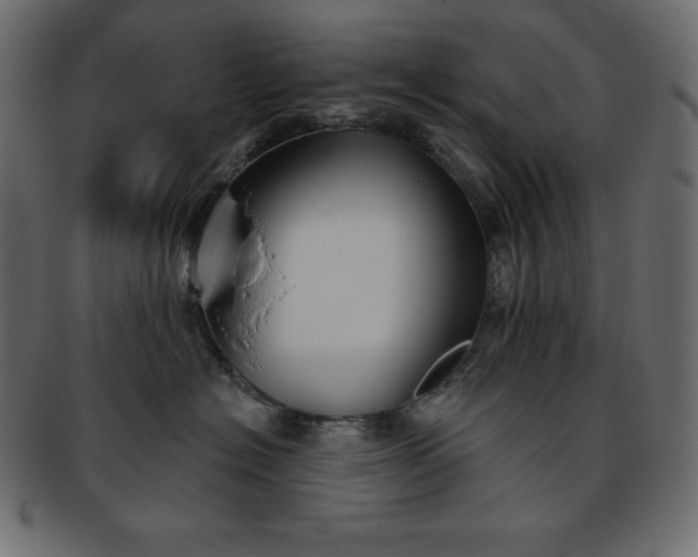 X0000093360574200710191059
