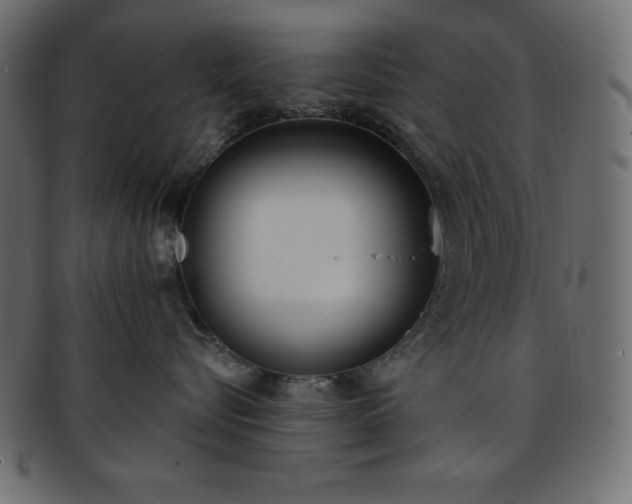 X0000093360576200710191059