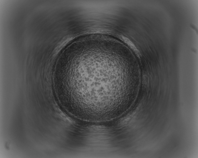 X0000093360577200710191059