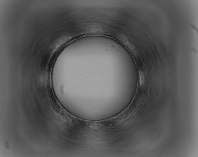 X0000093360579200710191059