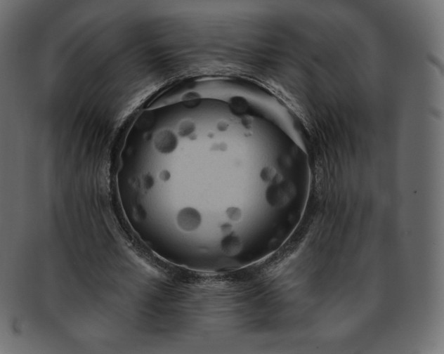 X0000093360581200710191059