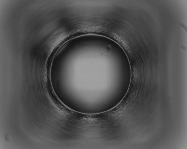 X0000093360582200710191059