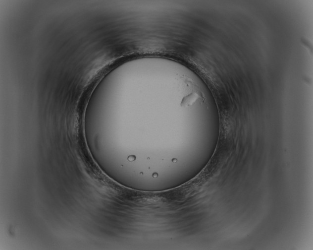 X0000093360583200710191059