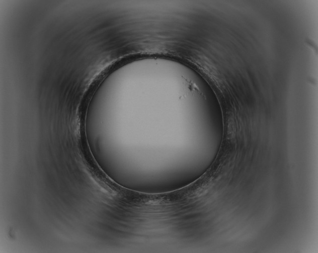 X0000093360584200710191059