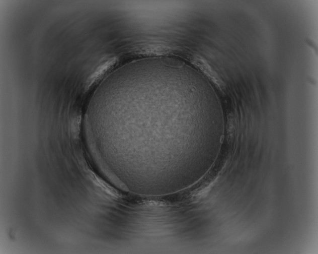 X0000093360585200710191059