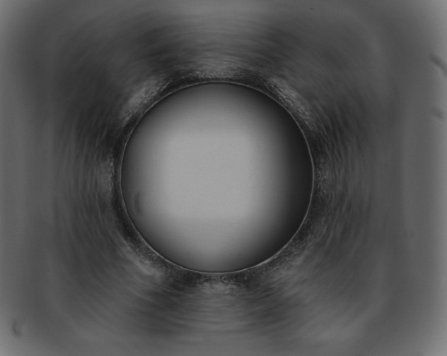 X0000093360586200710191059