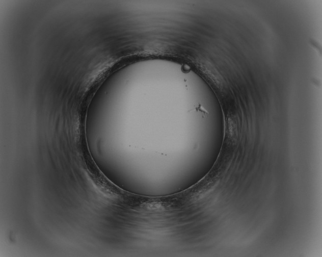 X0000093360588200710191059