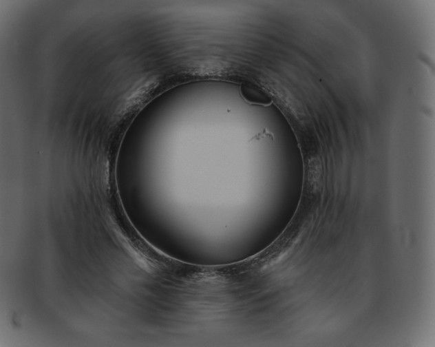X0000093360589200710191059