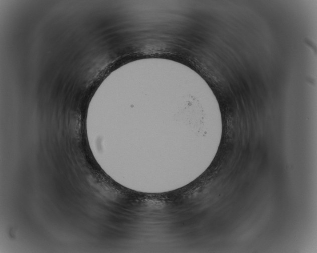 X0000093360592200710191059