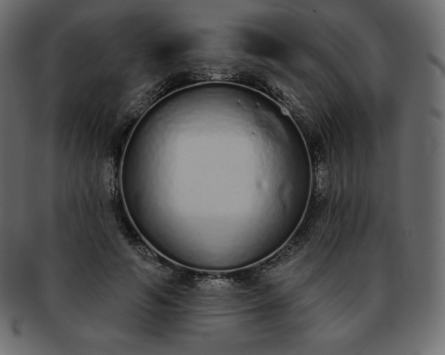 X0000093360594200710191058
