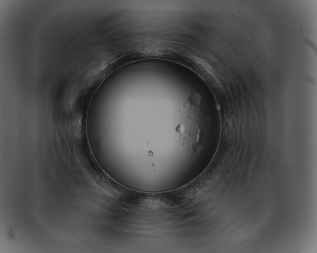 X0000093360596200710191058